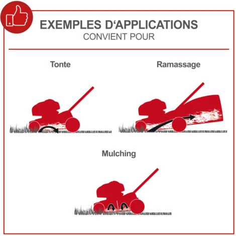 Tondeuse Thermique SCHEPPACH 7 Cv - Coupe De 53 Cm - MS225-53 2 Tondeuse Thermique SCHEPPACH 7 Cv - Coupe De 53 Cm - MS225-53 – Image 2